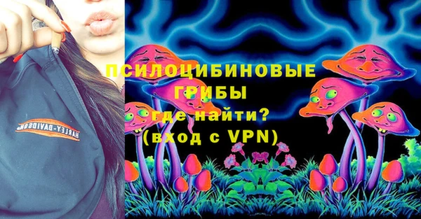 PSILOCYBIN Арсеньев