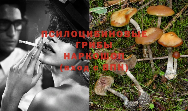 PSILOCYBIN Арсеньев