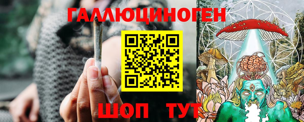 Новодвинск  Псилоцибиновые грибы Psilocybe  Вход с VPN  Псилоцибиновые грибы мухоморы 