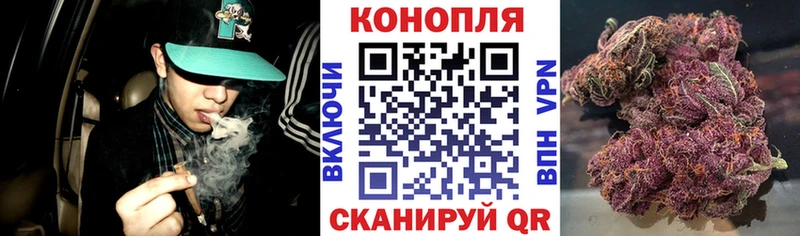 Конопля тримм  Новодвинск 